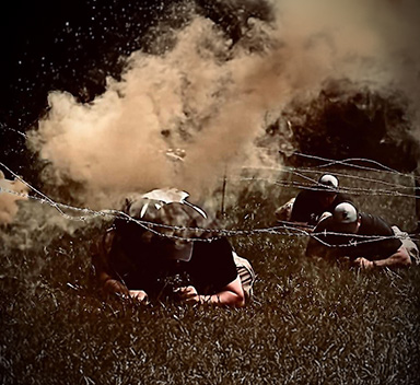 Lion Chaser